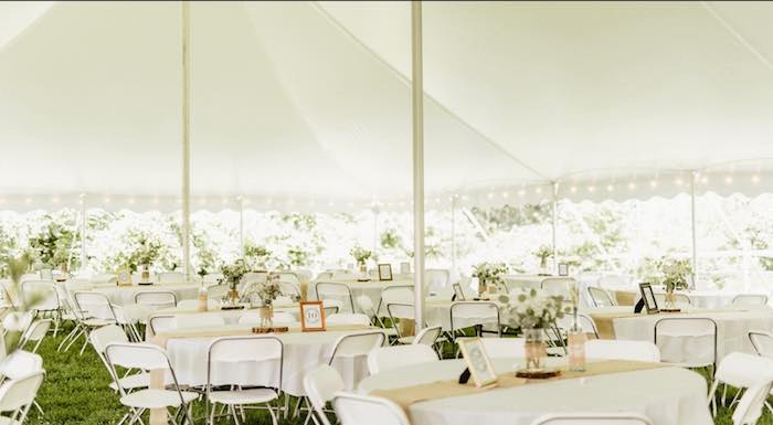 Basic White Chairs to rent